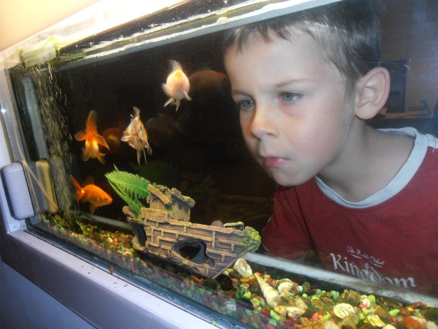 © irene waters 2015