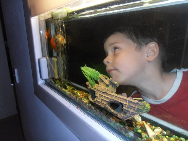 © irene waters 2015