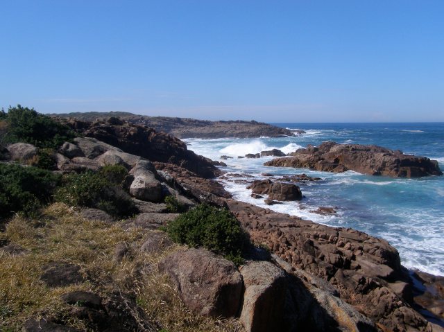 © irene waters 2015