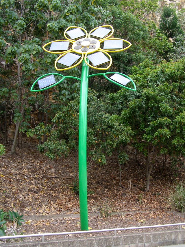 © irene waters 2015