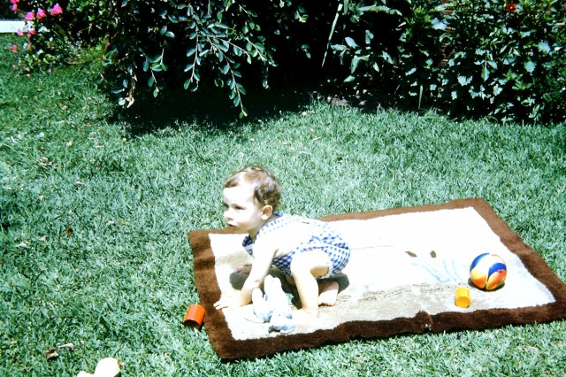 © irene waters 2015