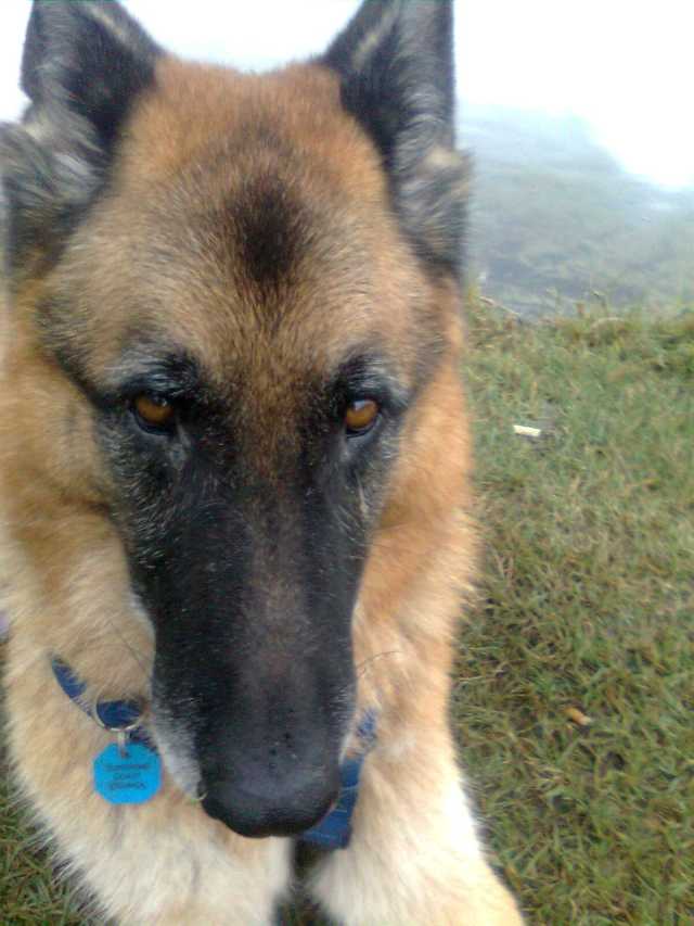 © irene waters 2015