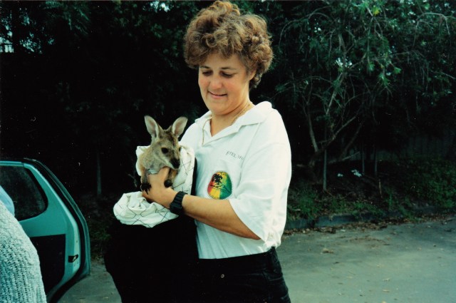 © irene waters 2015