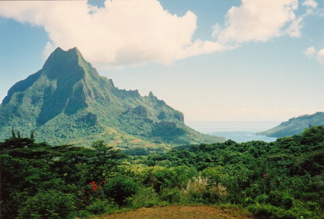 © irene waters 2015