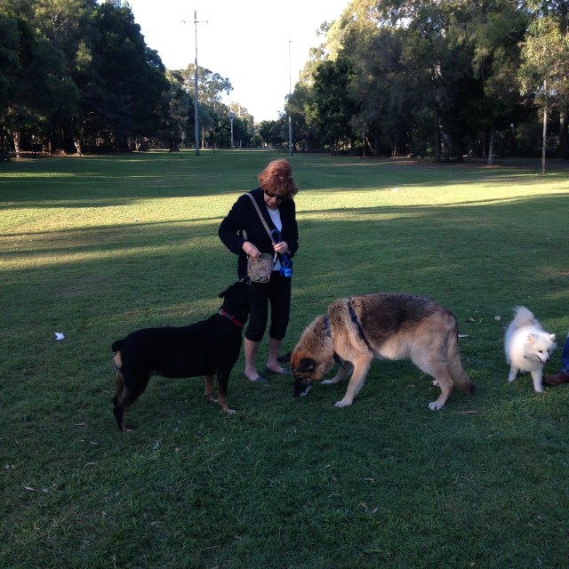 © irene waters 2015