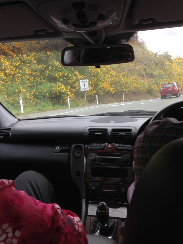 © irene waters 2015