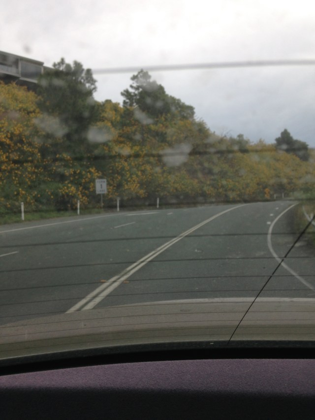 © irene waters 2015