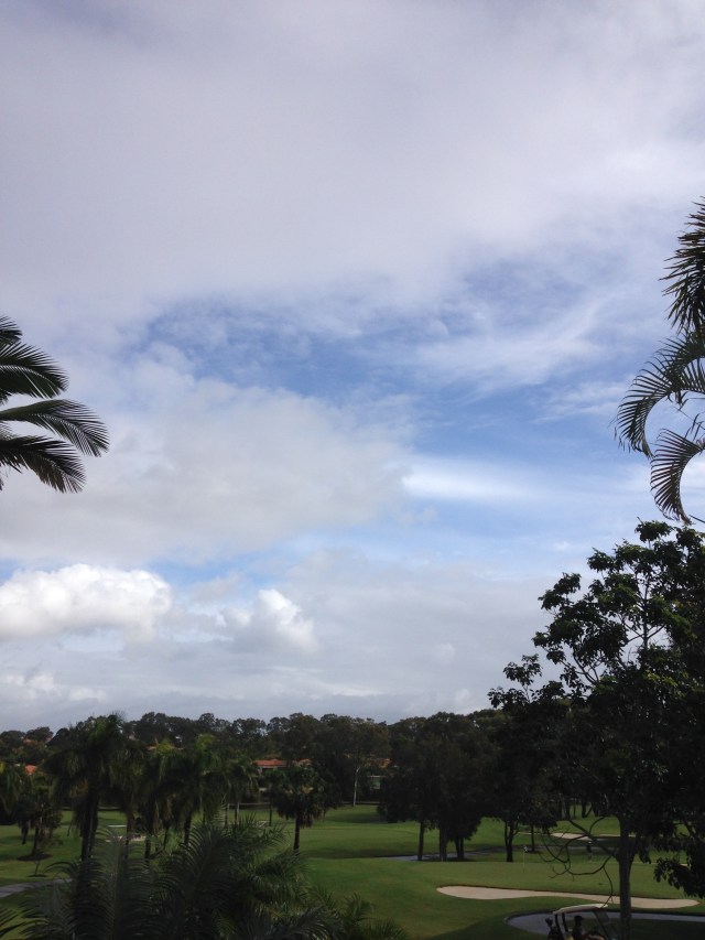 © irene waters 2015