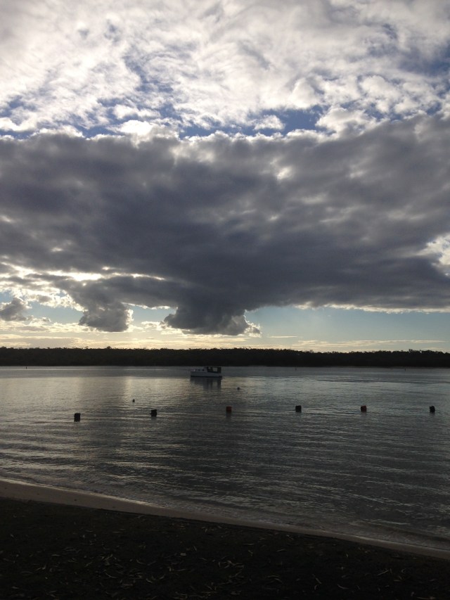 © irene waters 2015