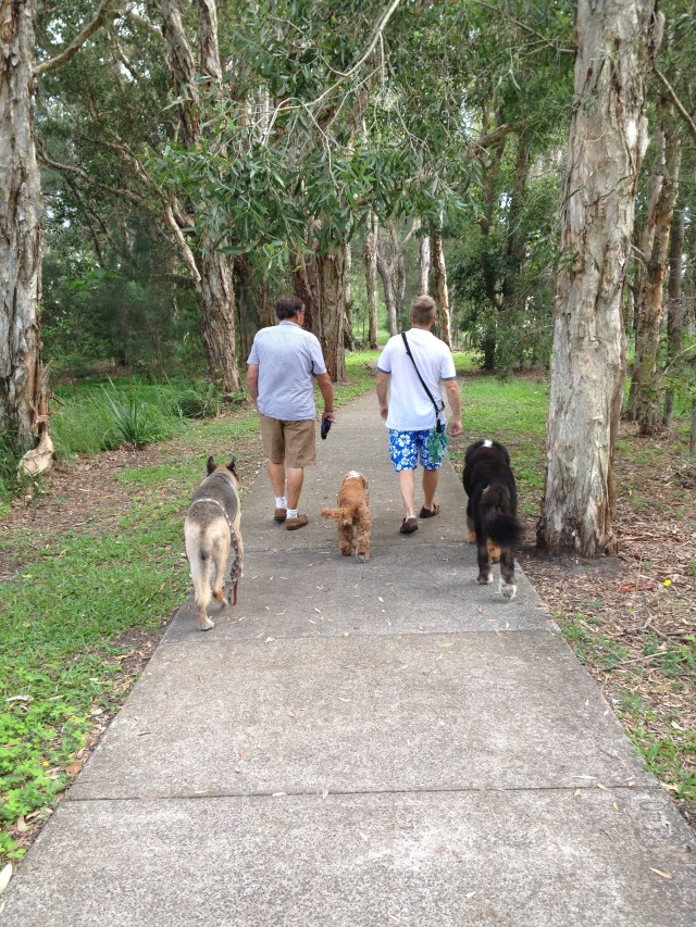 © irene waters 2015