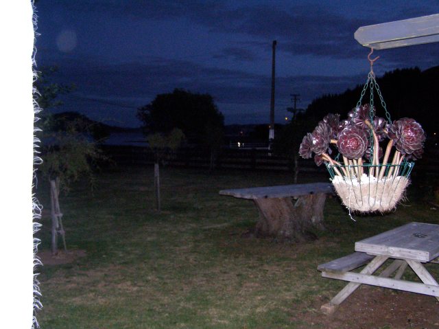 © irene waters 2015