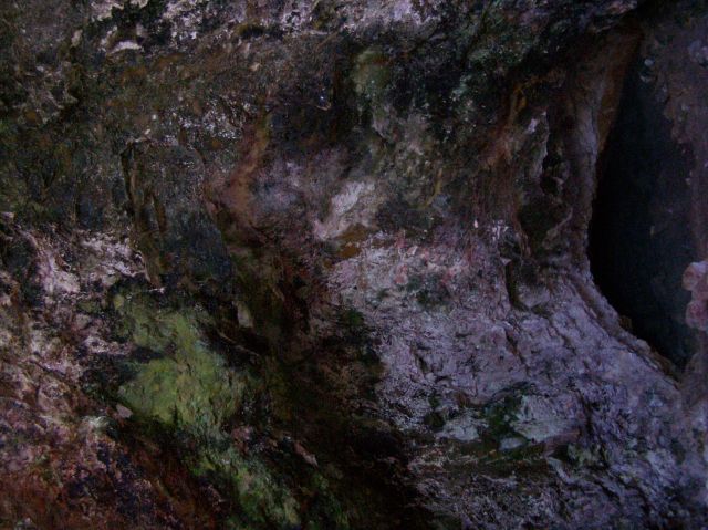 © irene waters 2015