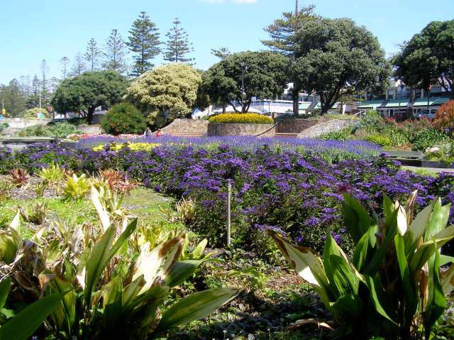 © irene waters 2015