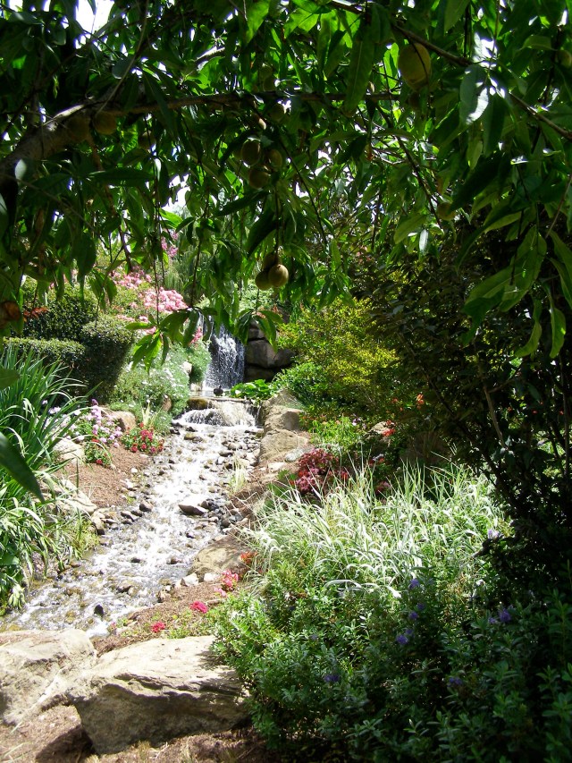 © irene waters 2015