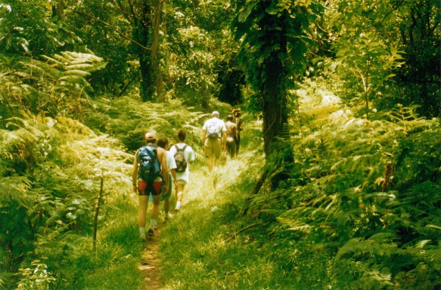 © irene waters 2015