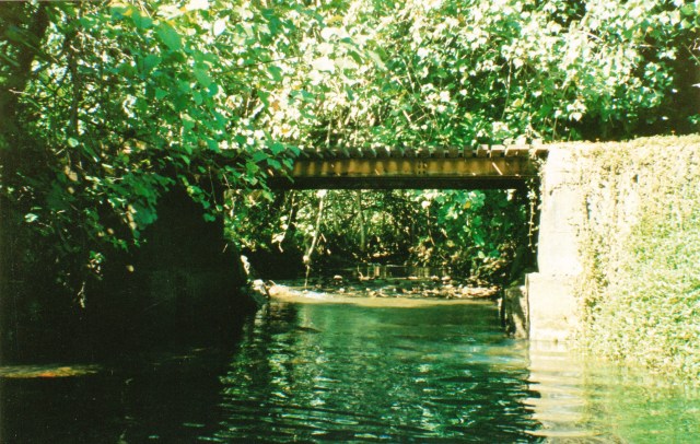 © irene waters 2015