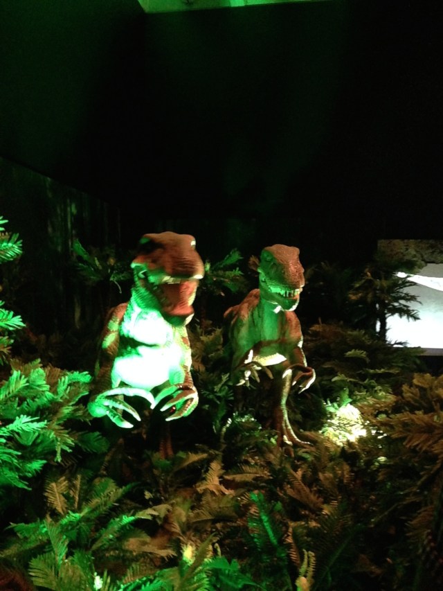 © irene waters 2015