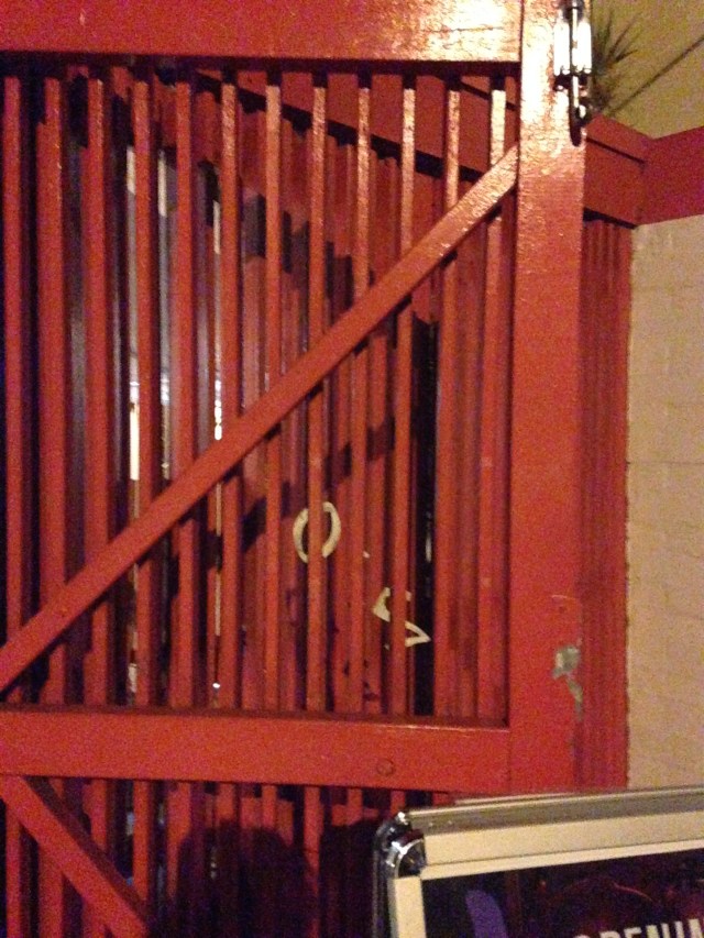 © irene waters 2015