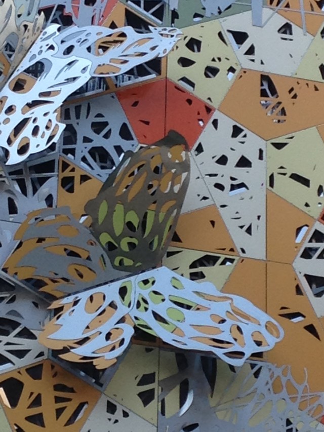 © irene waters 2015