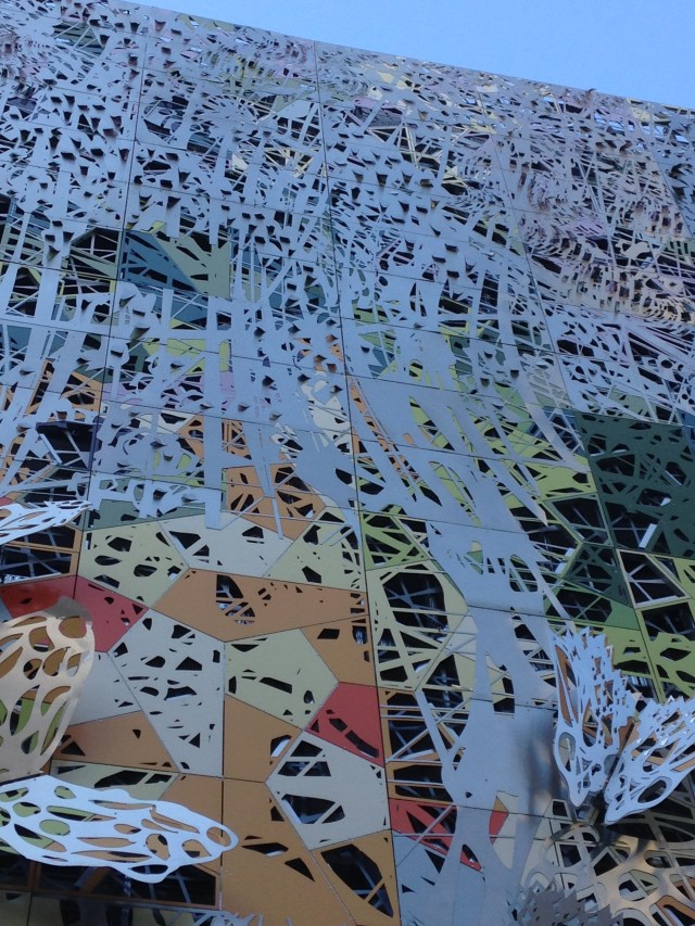 © irene waters 2015