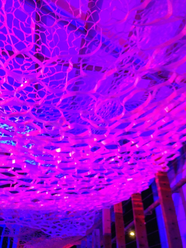 © irene waters 2015