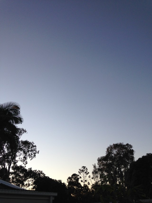 © irene waters 2015