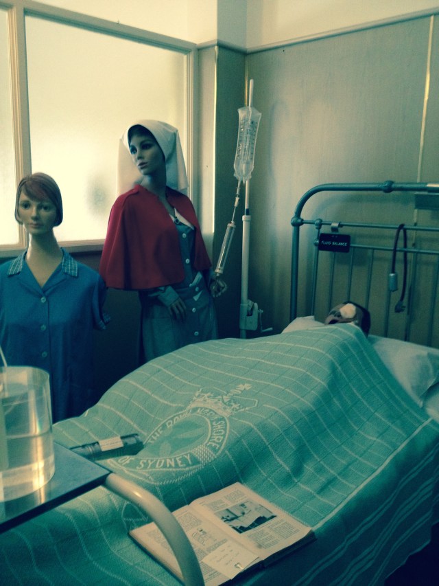 © irene waters 2015