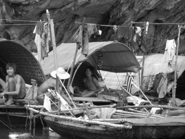 © irene waters 2015