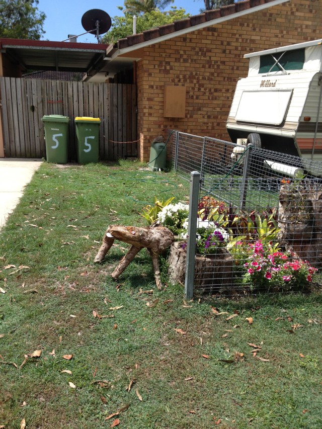 © irene waters 2015