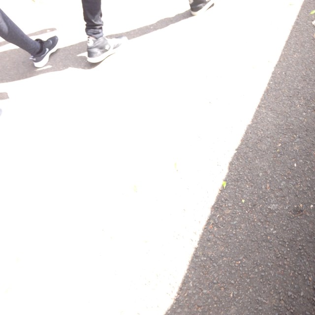 © irene waters 2015