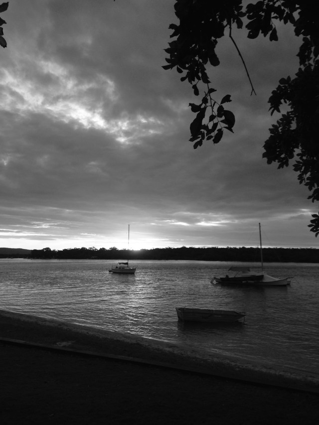 © irene waters 2015