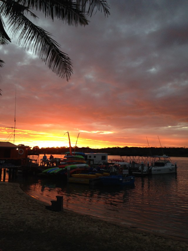 © irene waters 2015