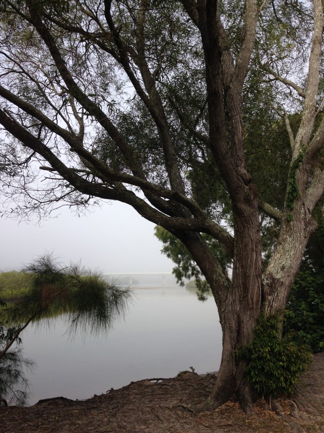 © irene waters 2015