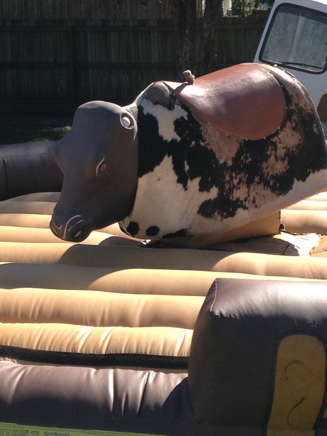 © irene waters 2015