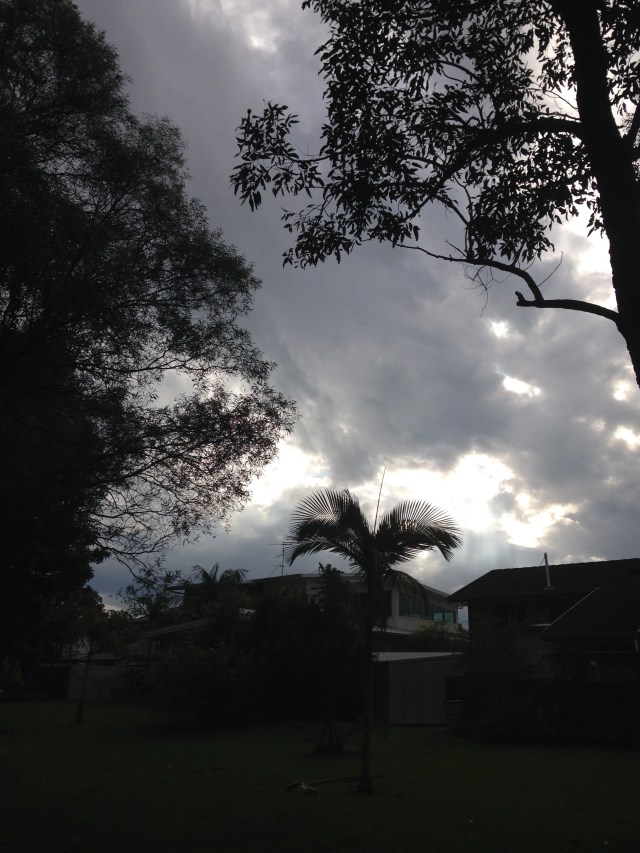 © irene waters 2015