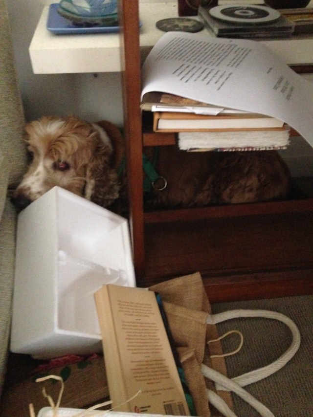 © irene waters 2015