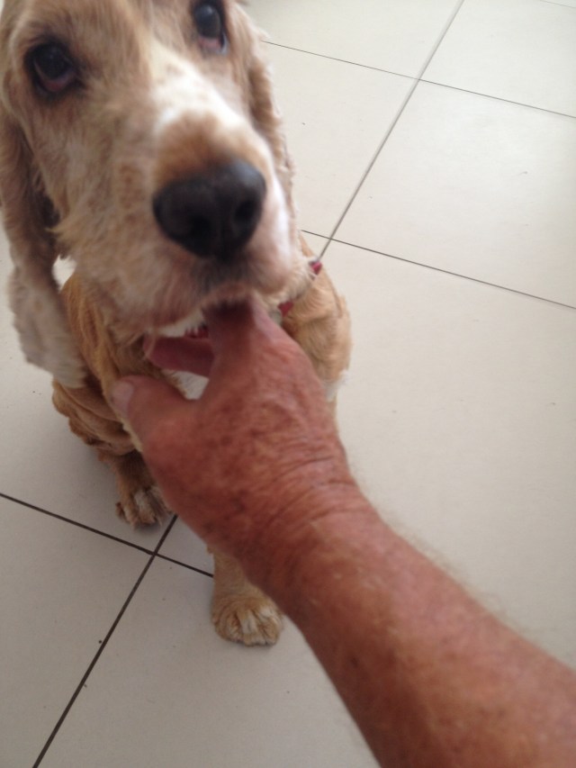 © irene waters 2015