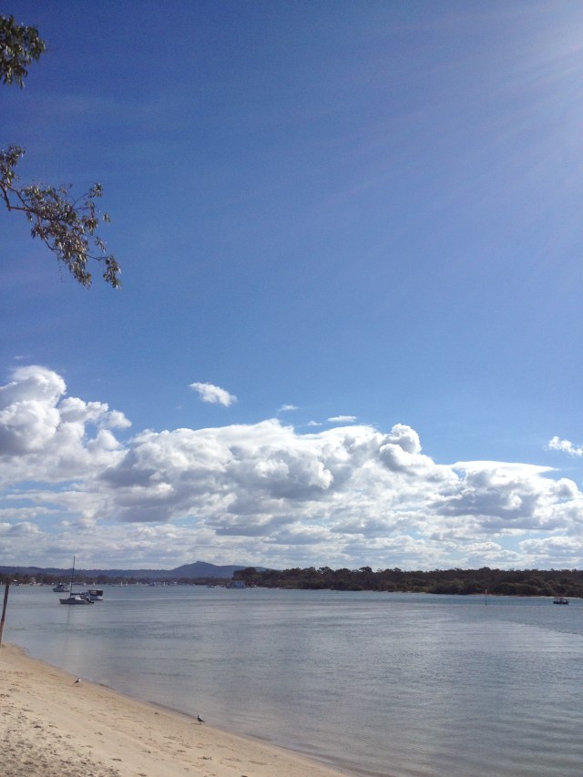 © irene waters 2015