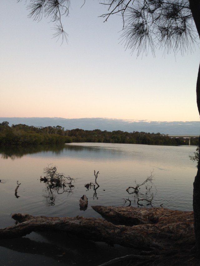 © irene waters 2015