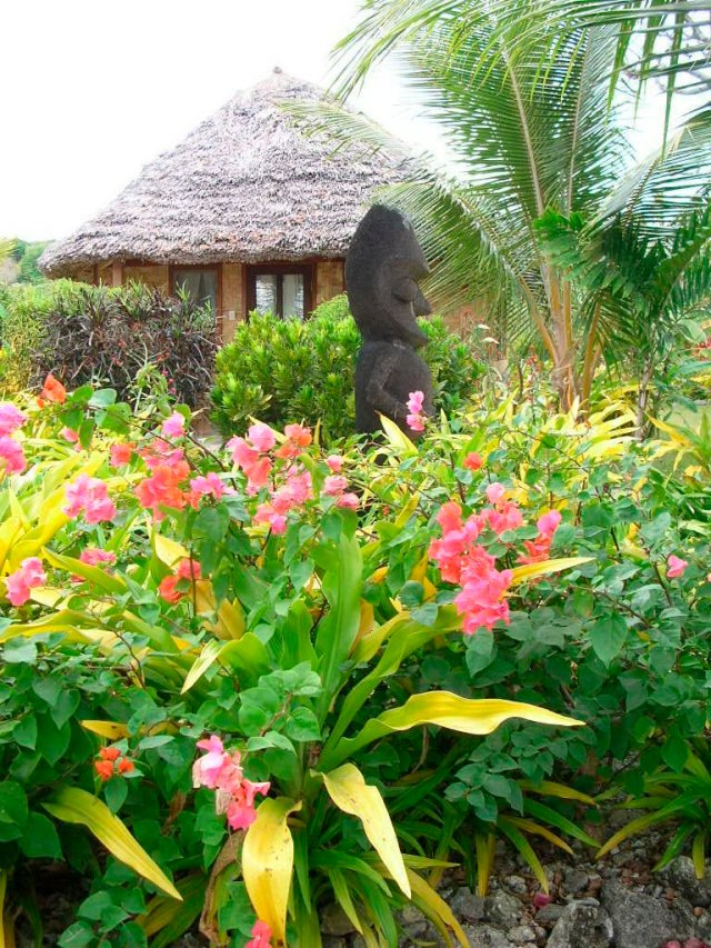 © irene waters 2015