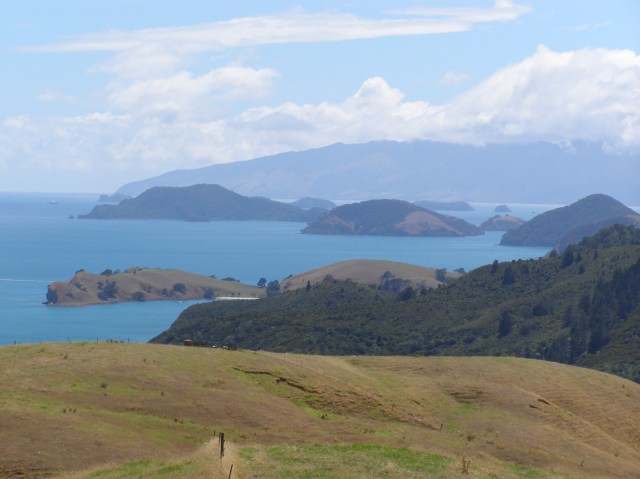 © irene waters 2015