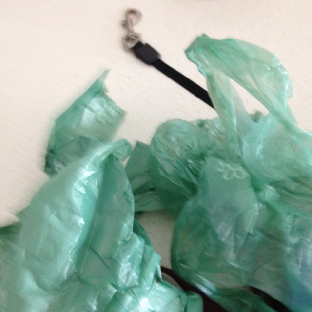 © irene waters 2015