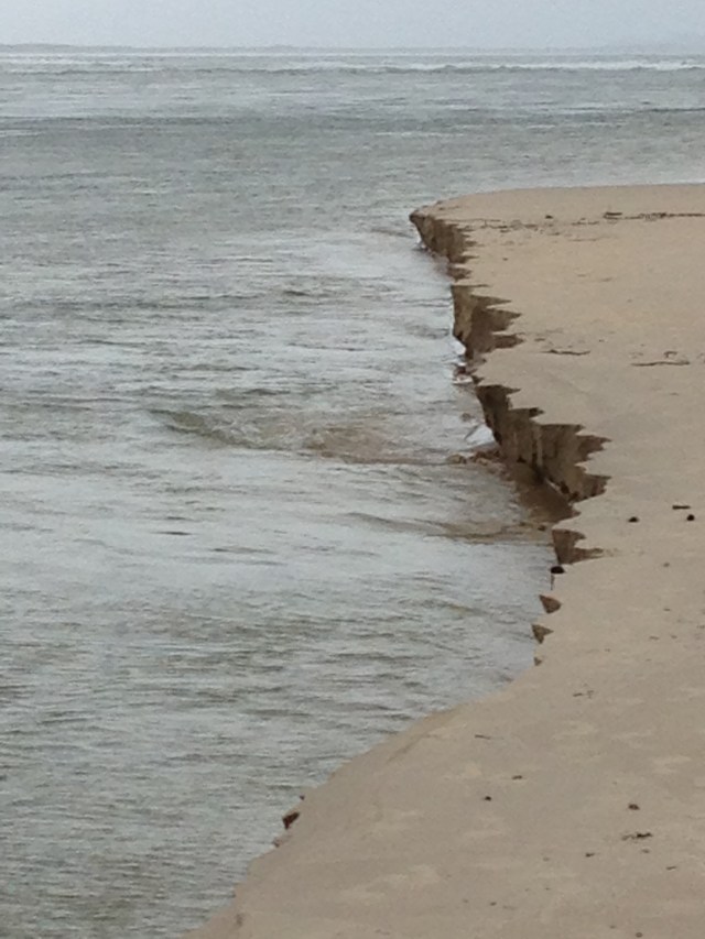 © irene waters 2015