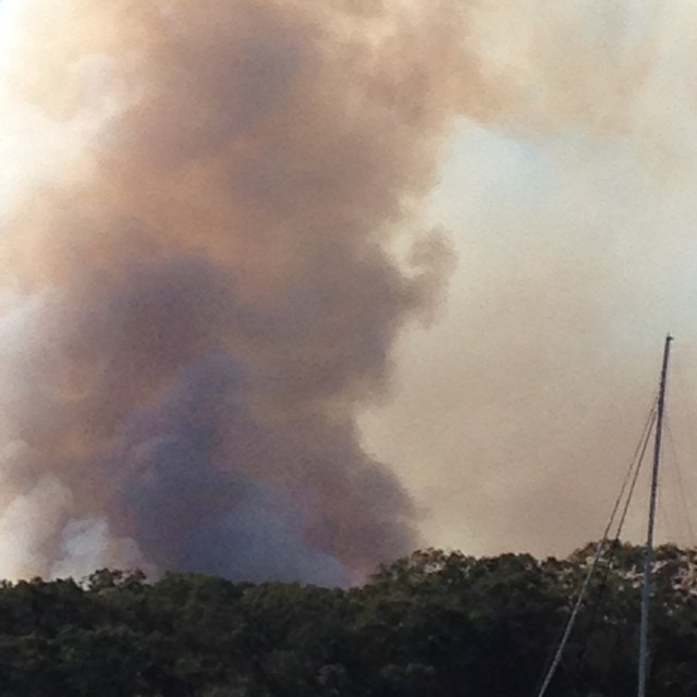 © irene waters 2015