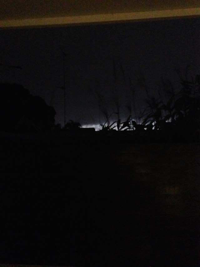 © irene waters 2015