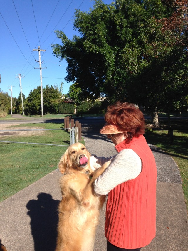 © irene waters 2015