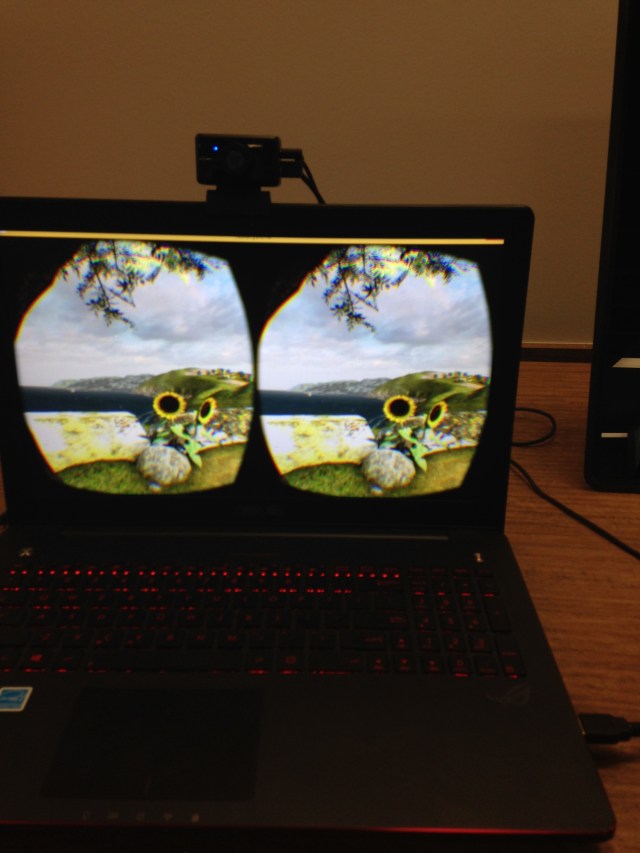 © irene waters 2015