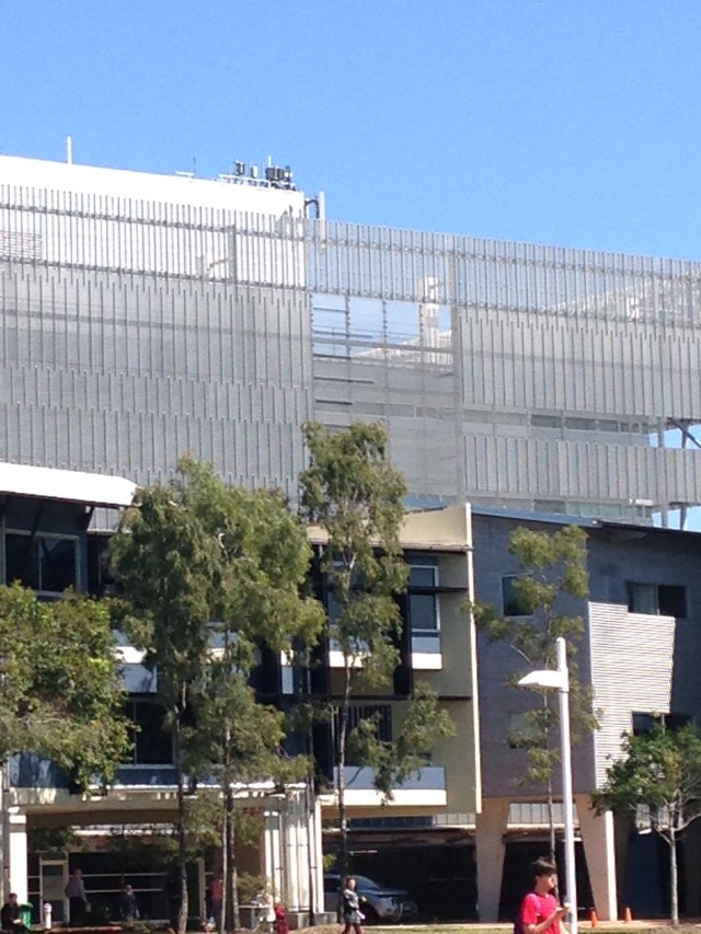 © irene waters 2015