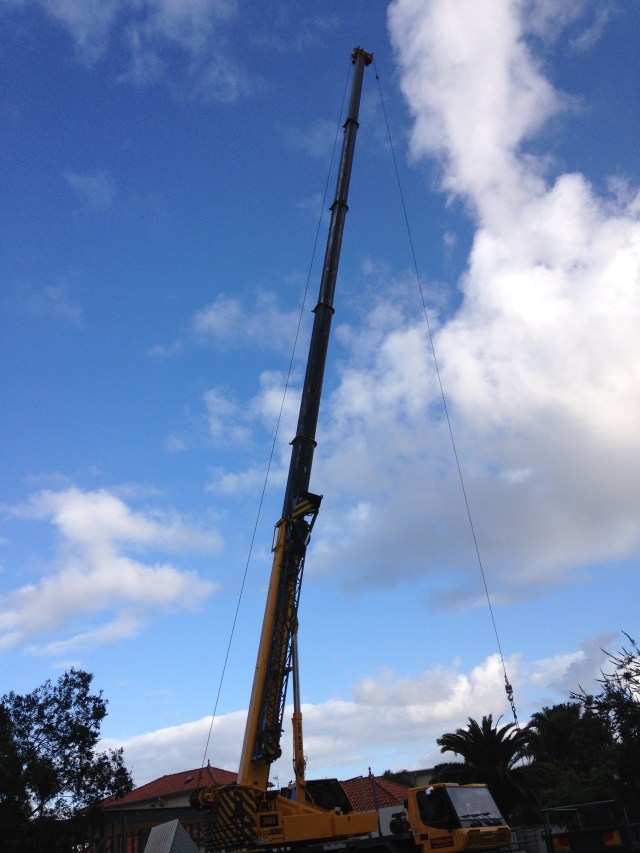 © irene waters 2015