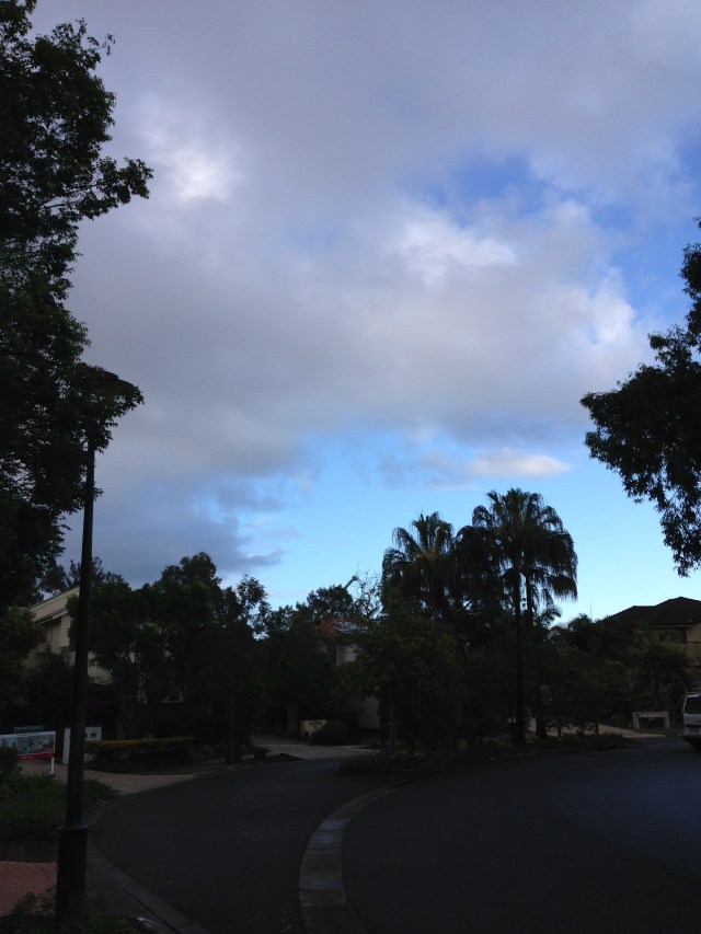 © irene waters 2015